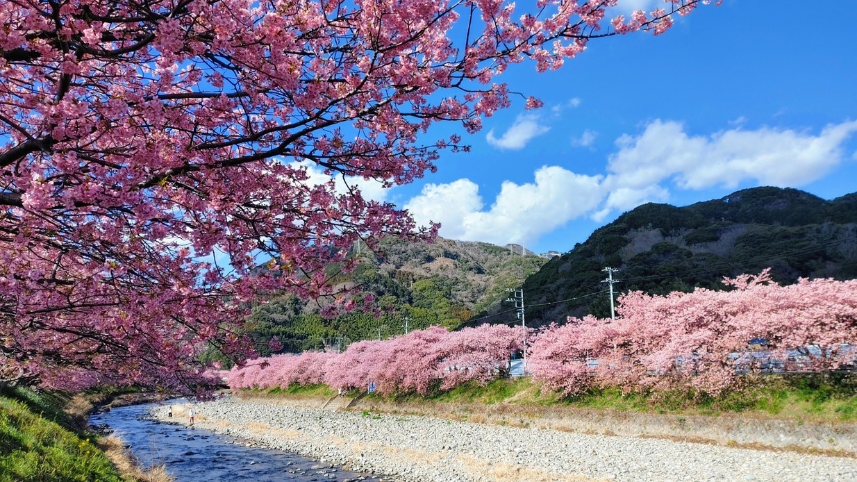 【連泊超お得】観光がメインでグランピングも楽しめちゃう♪〜ゆったり伊豆旅行〜（素泊り＋2食付）