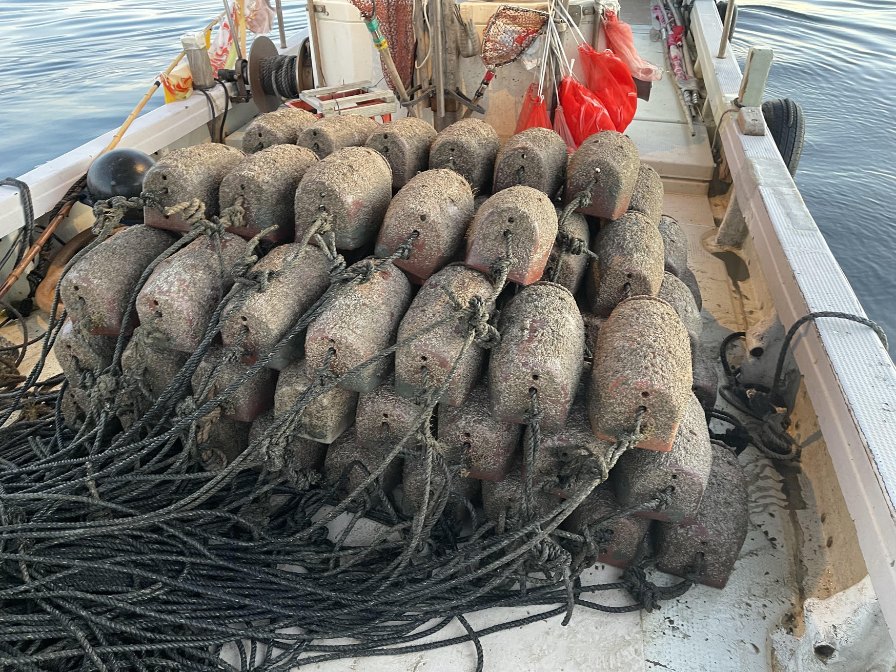 漁業の島で蛸壺・魚・網上げ体験プラン