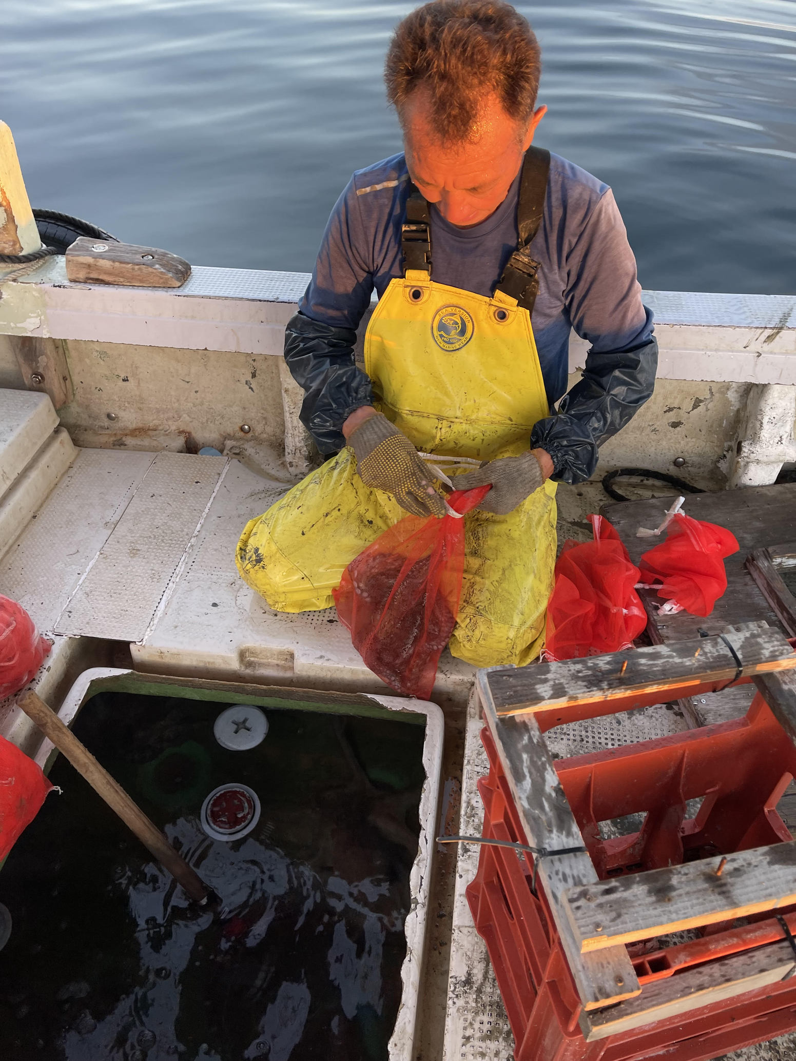 漁業の島で蛸壺・魚・網上げ体験プラン