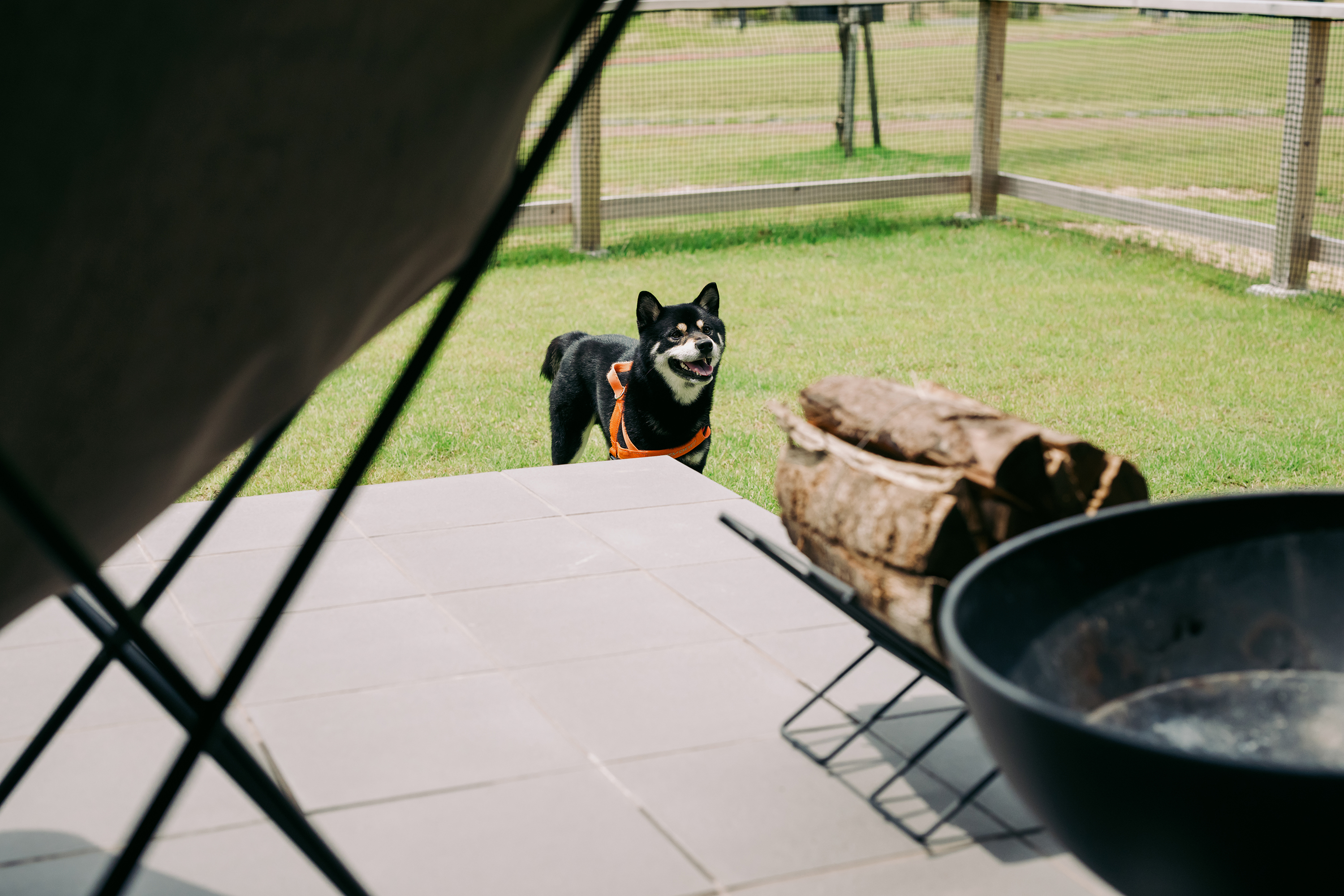 愛犬と泊まれる