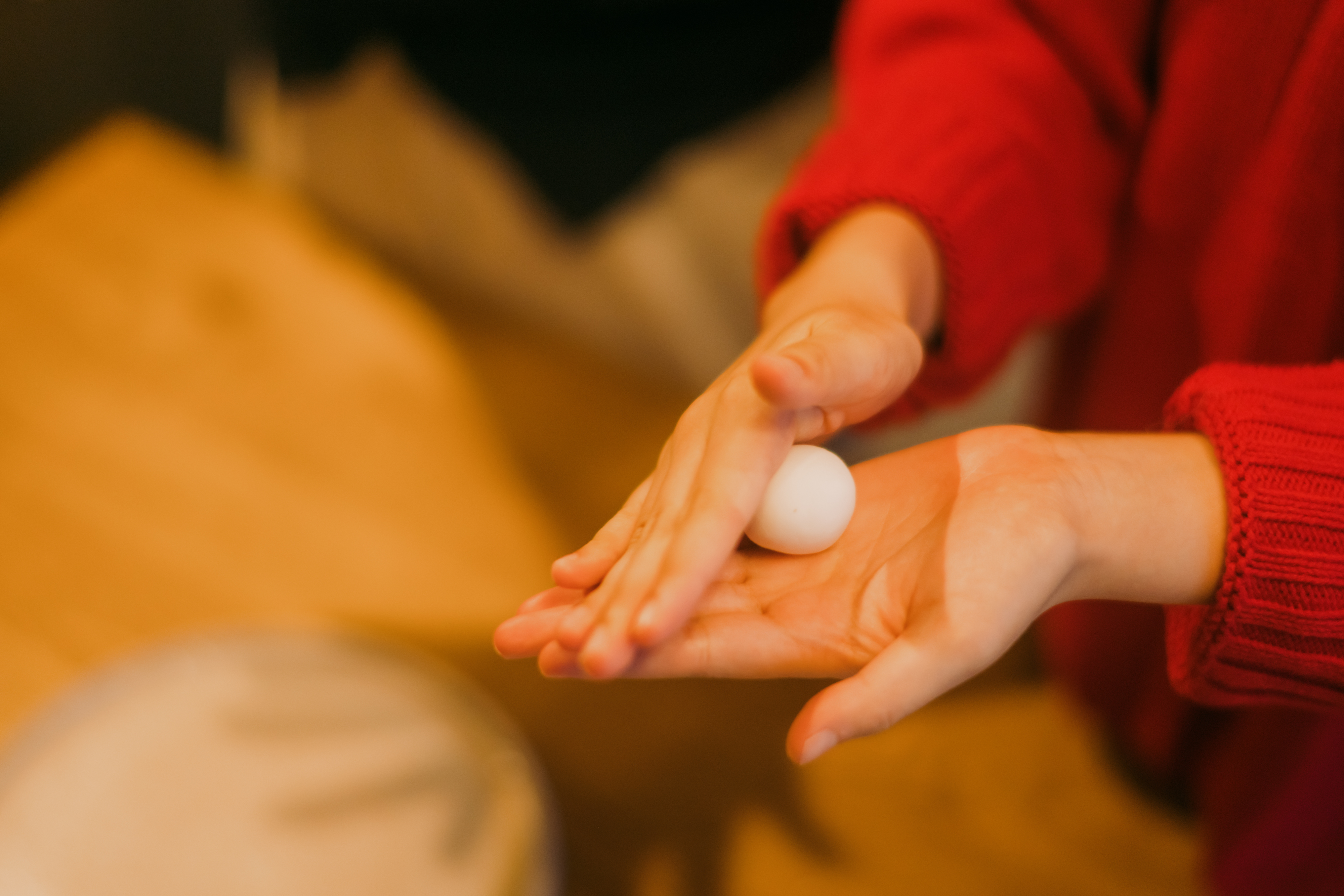 【体験】山のお月見セット