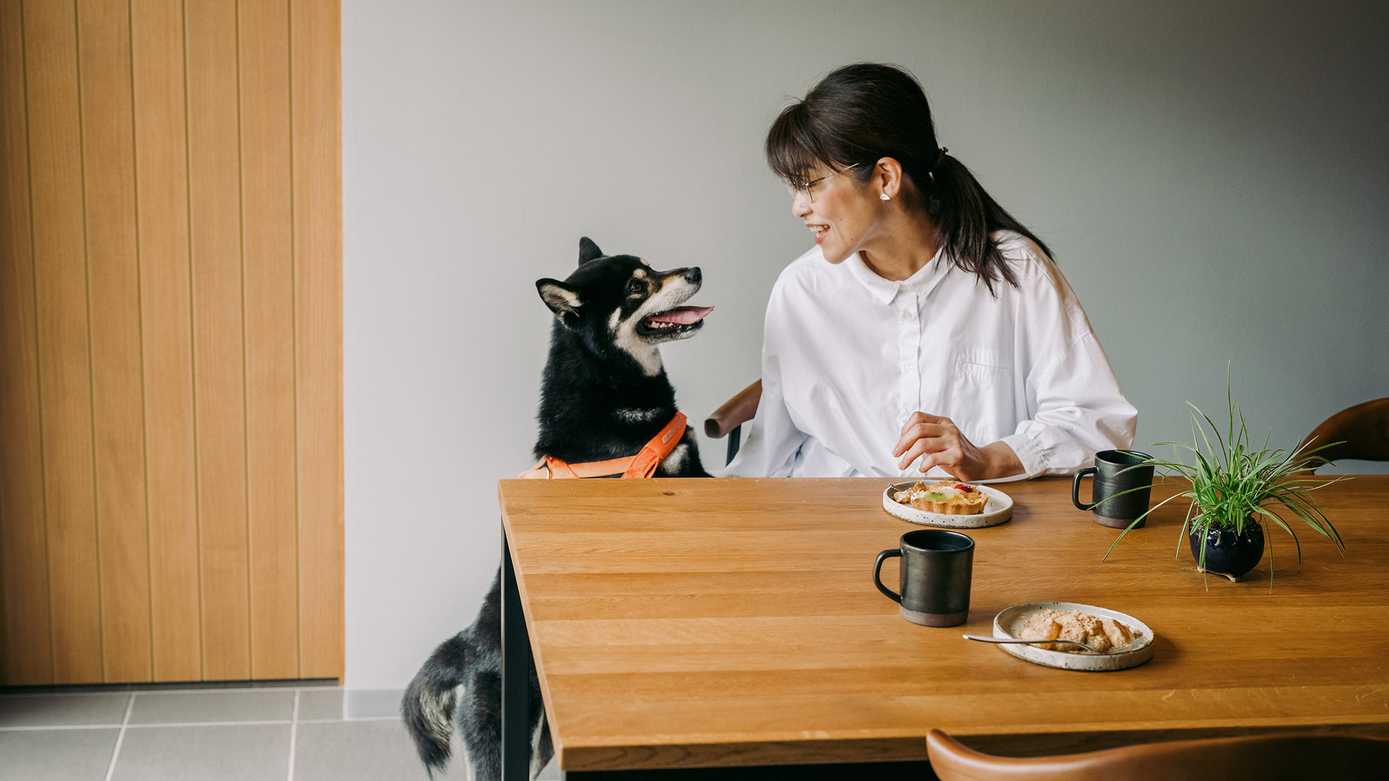 ダイニングスペースで愛犬と過ごす