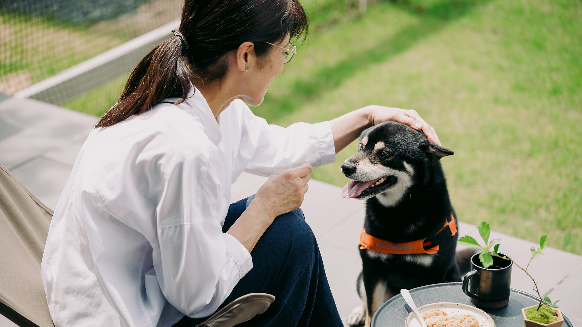 愛犬と過ごす