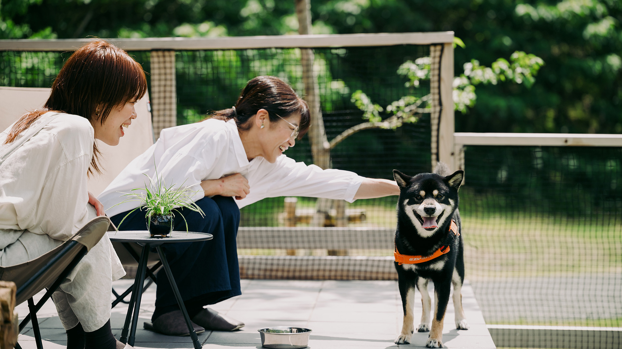 愛犬と一緒にテラスで過ごす