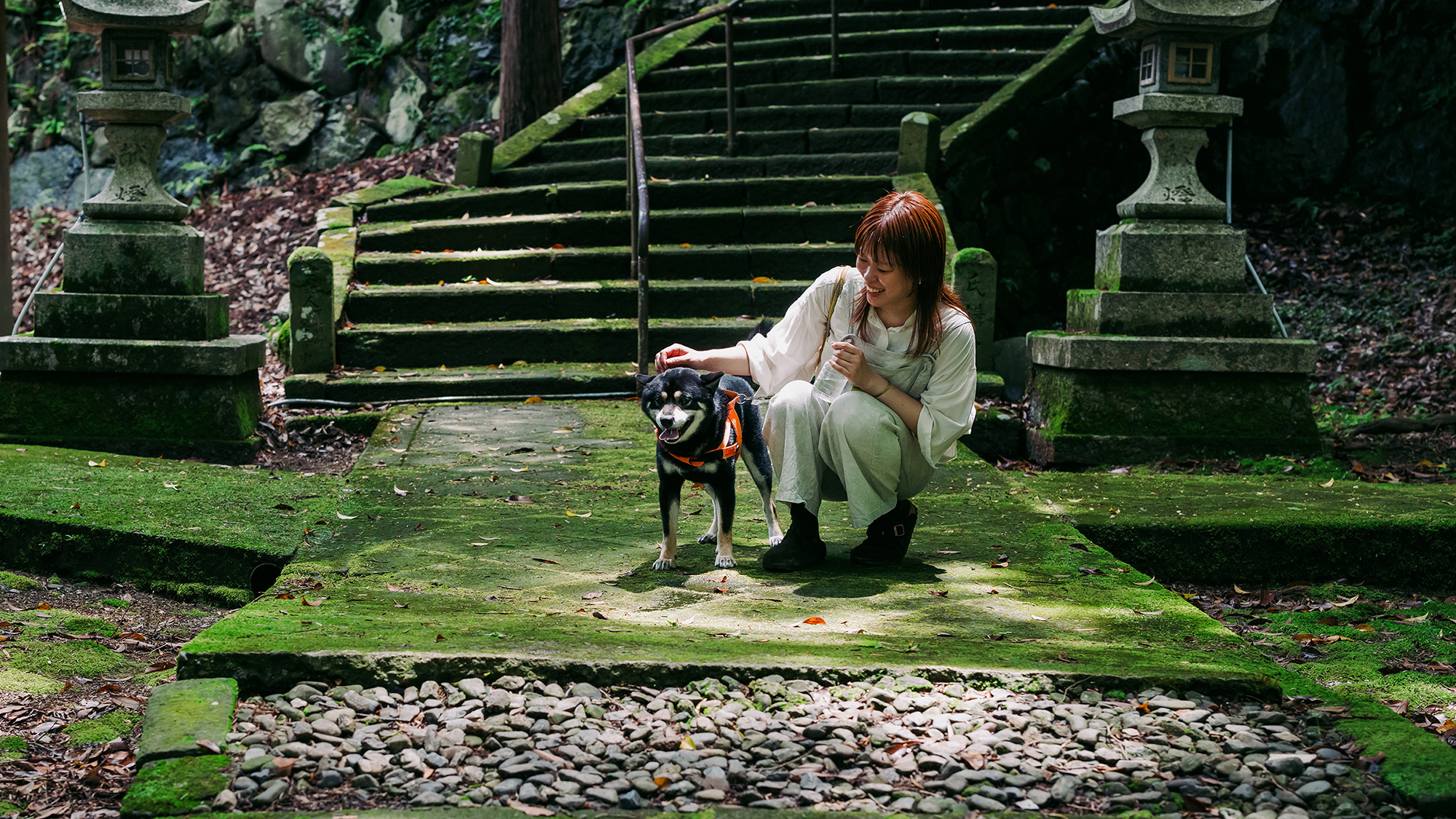 愛犬と寺社仏閣をめぐる