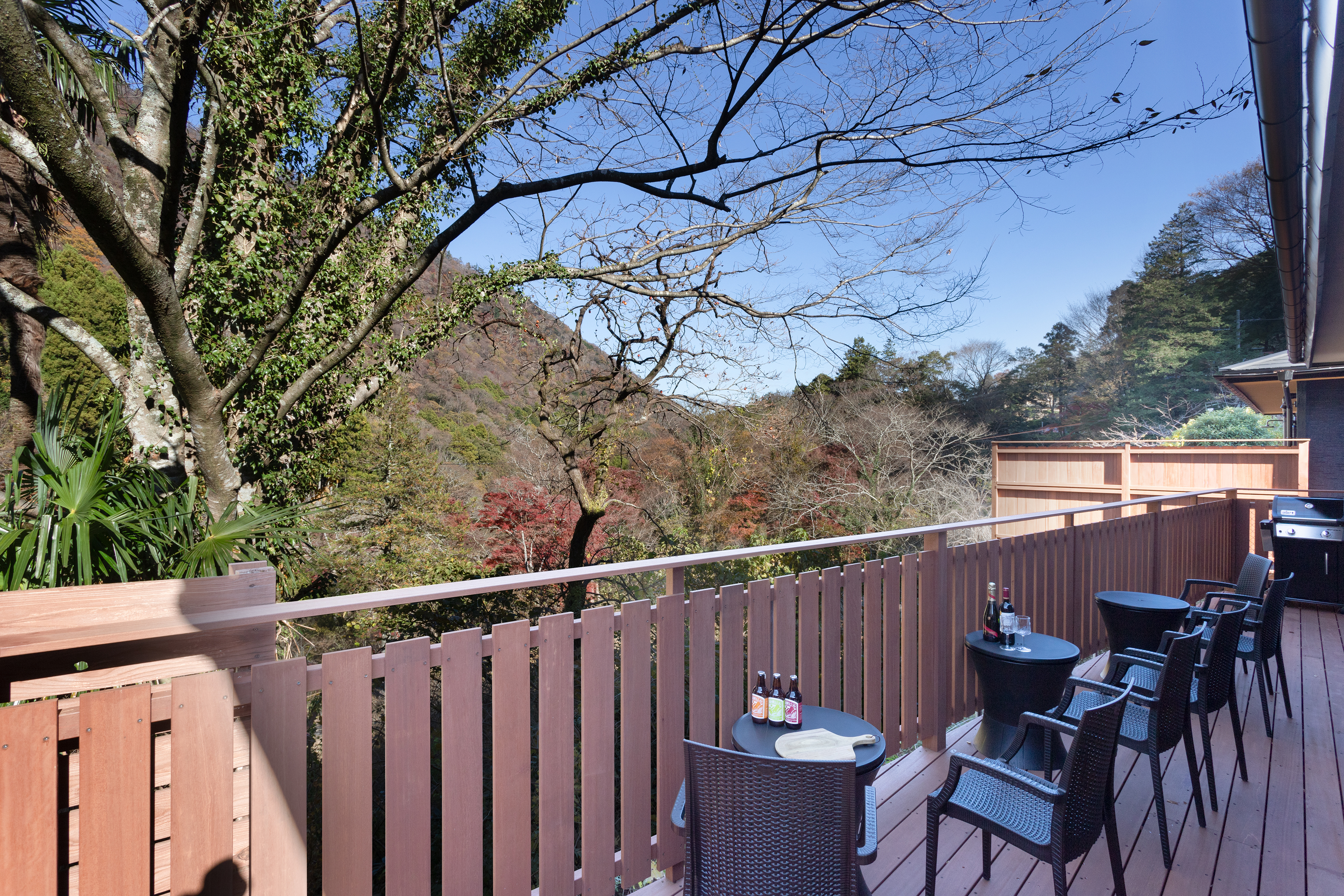 〔WEST〕ウッドデッキ