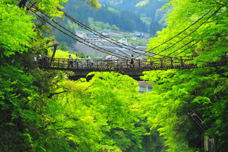 秘境「祖谷」のかずら橋。国指定重要有形民俗文化財