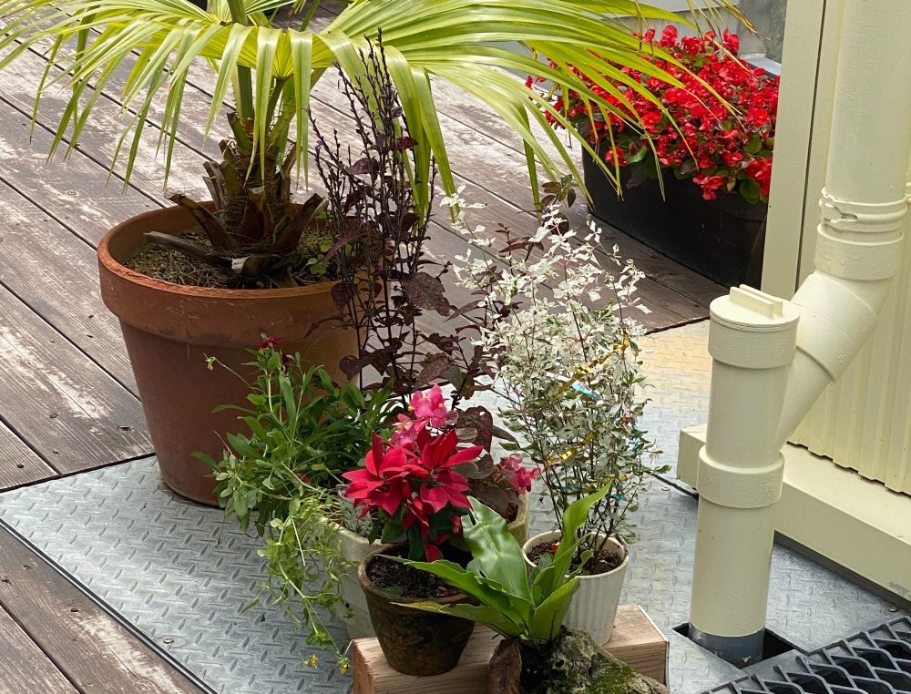 ルナテラッセレストラン