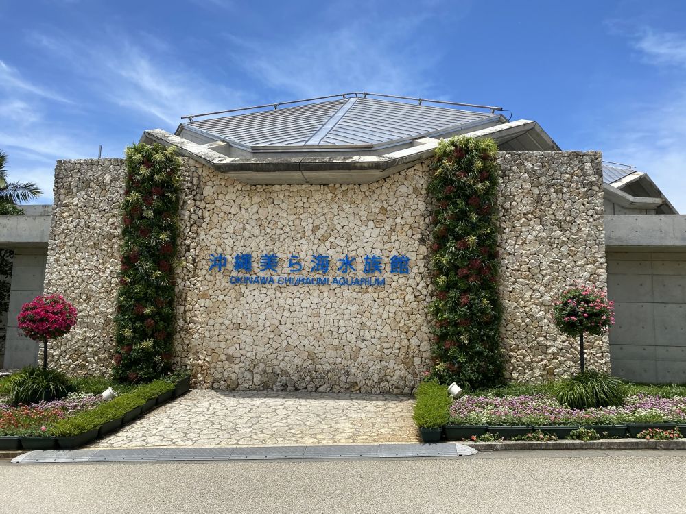 美ら海水族館