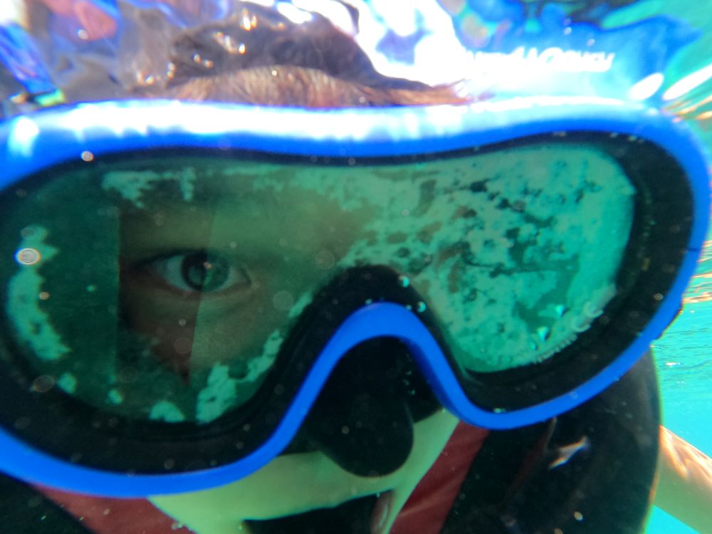 シュノーケリング