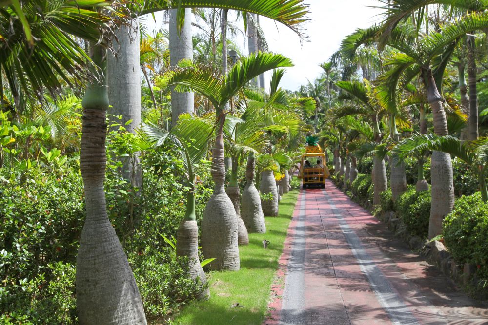 パイナップルパーク