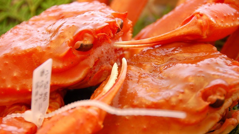 はじける夏！但馬牛も香住ガニの宝石箱も楽しめる欲張り夏のご馳走プラン