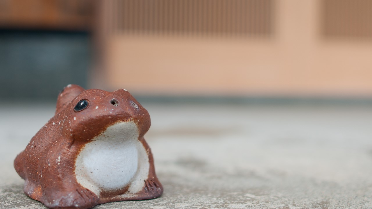 お帰り！とカエルちゃんのお出迎え