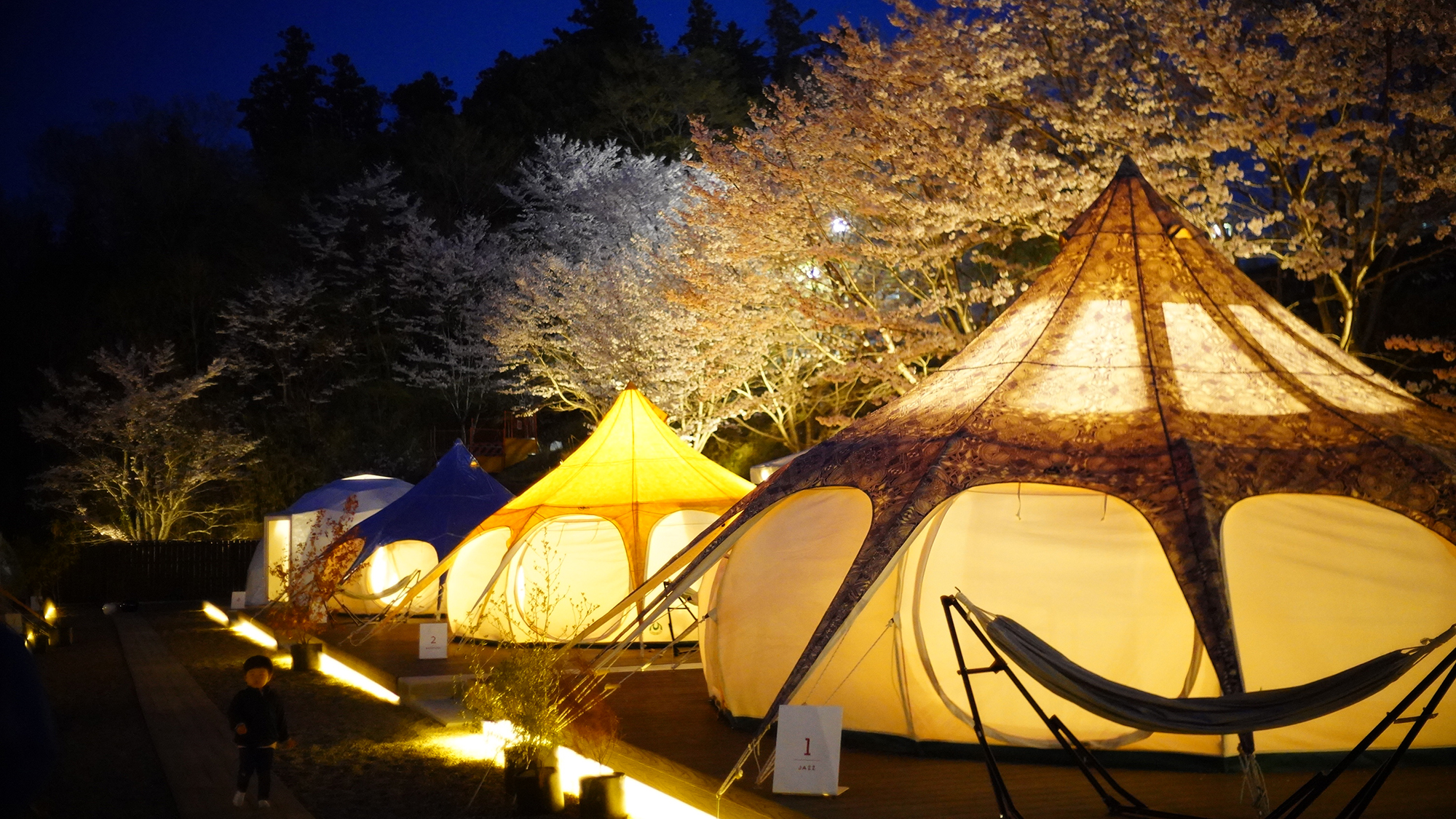 【グランピング】［施設イメージ］ テントの光で浮かび上がる夜桜。春だけ見られる最高のロケーション。