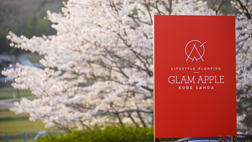 【グランピング】［施設イメージ］ 桜のアウトドアが楽しみたいなら、3月下旬～4月上旬がおすすめ。
