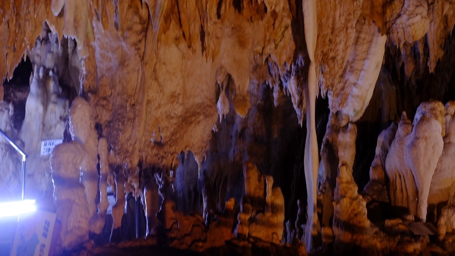 石垣島鍾乳洞／ホテルから車で約10分。20万年もの時をかけて自然が造り出した石垣島最大の鍾乳洞。