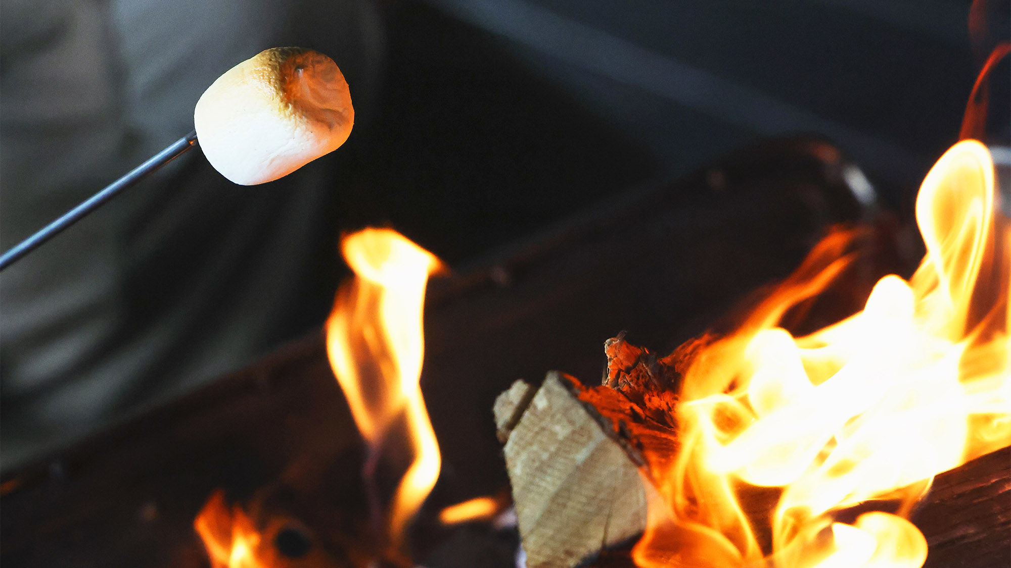 ・【焚火】静寂のなかマシュマロを炎にくぐらせて　ゆったり眺める贅沢な時間