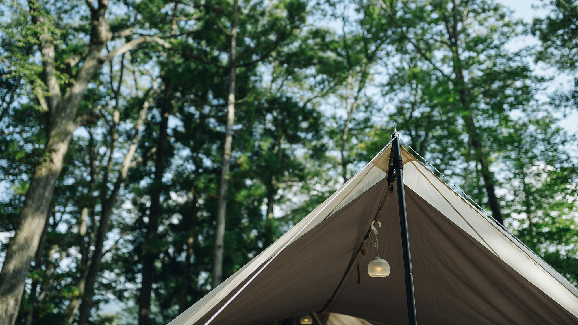 ・【Tent Suite Glamberg】静寂に包まれた白馬の豊かな林間風景が広がります