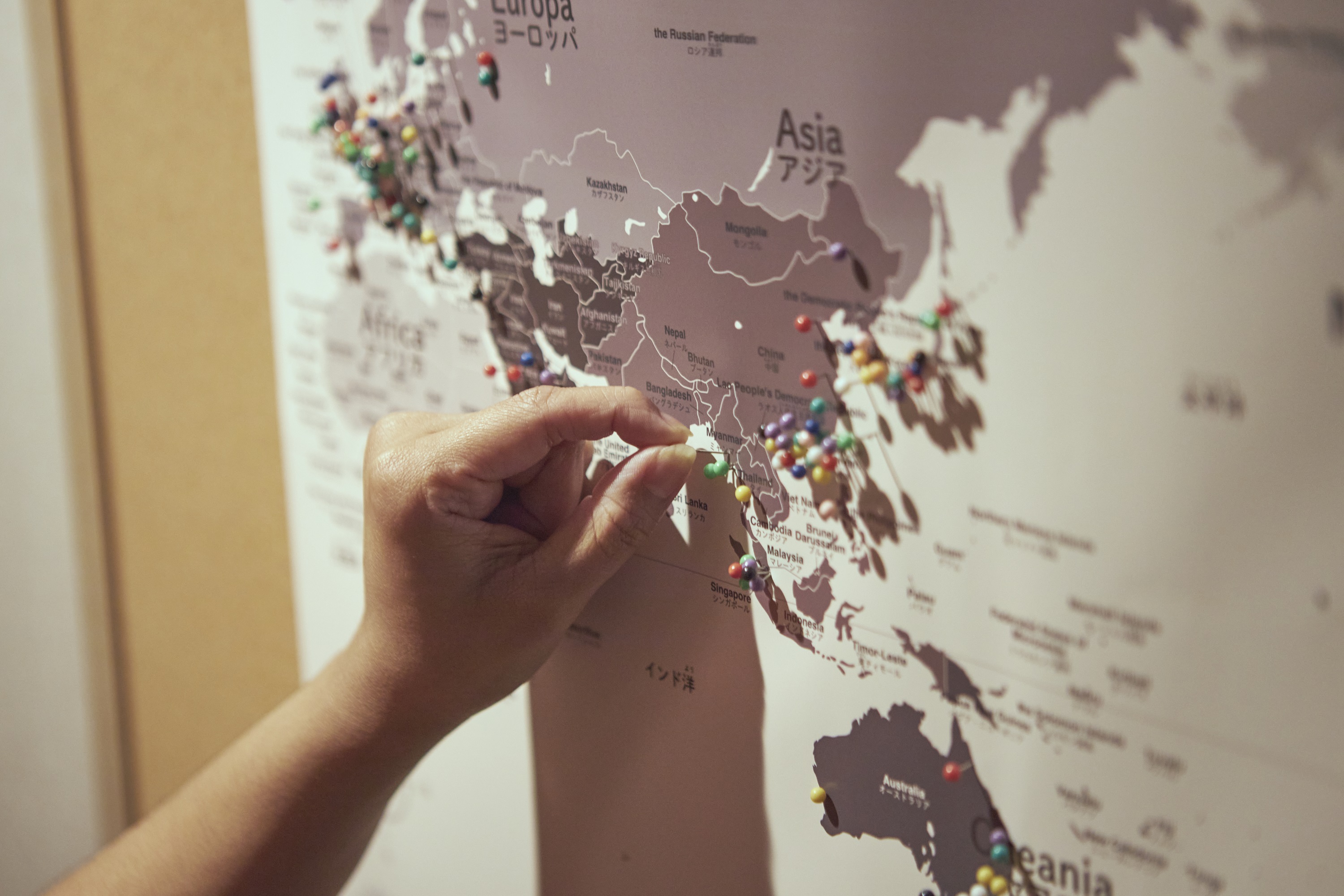 ■ギャラリー　世界地図