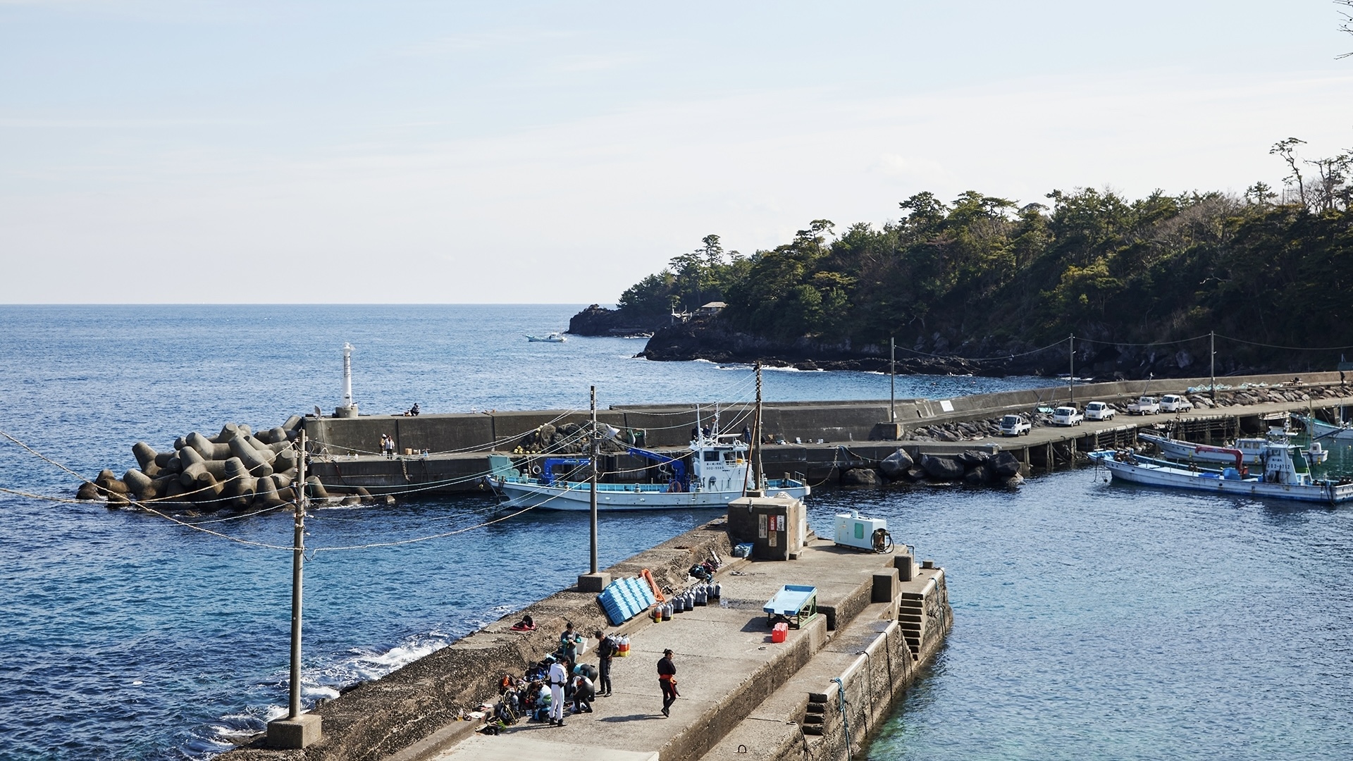 富戸港。マイグレ海の声より徒歩1分。ダイミングや釣り、定置網体験などをお楽しみいただけます。