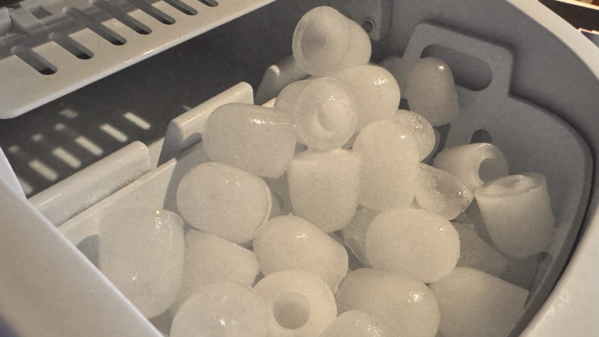 【客室】ペット宿泊ルーム　製氷機