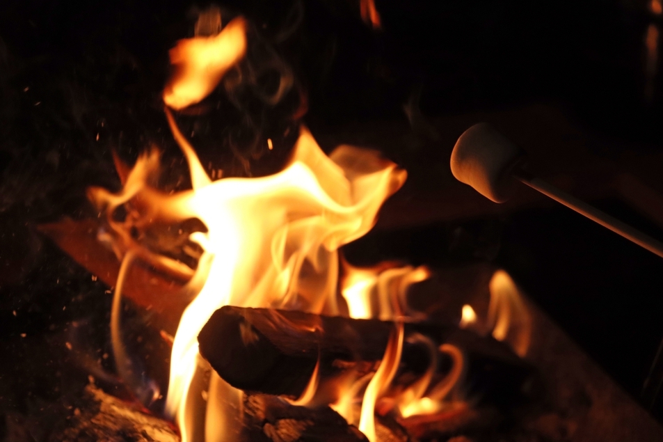 サウナ宿つづやを 丸ごと貸切っちゃえ  【貸切りステイ 1泊2食2サウナプラン】