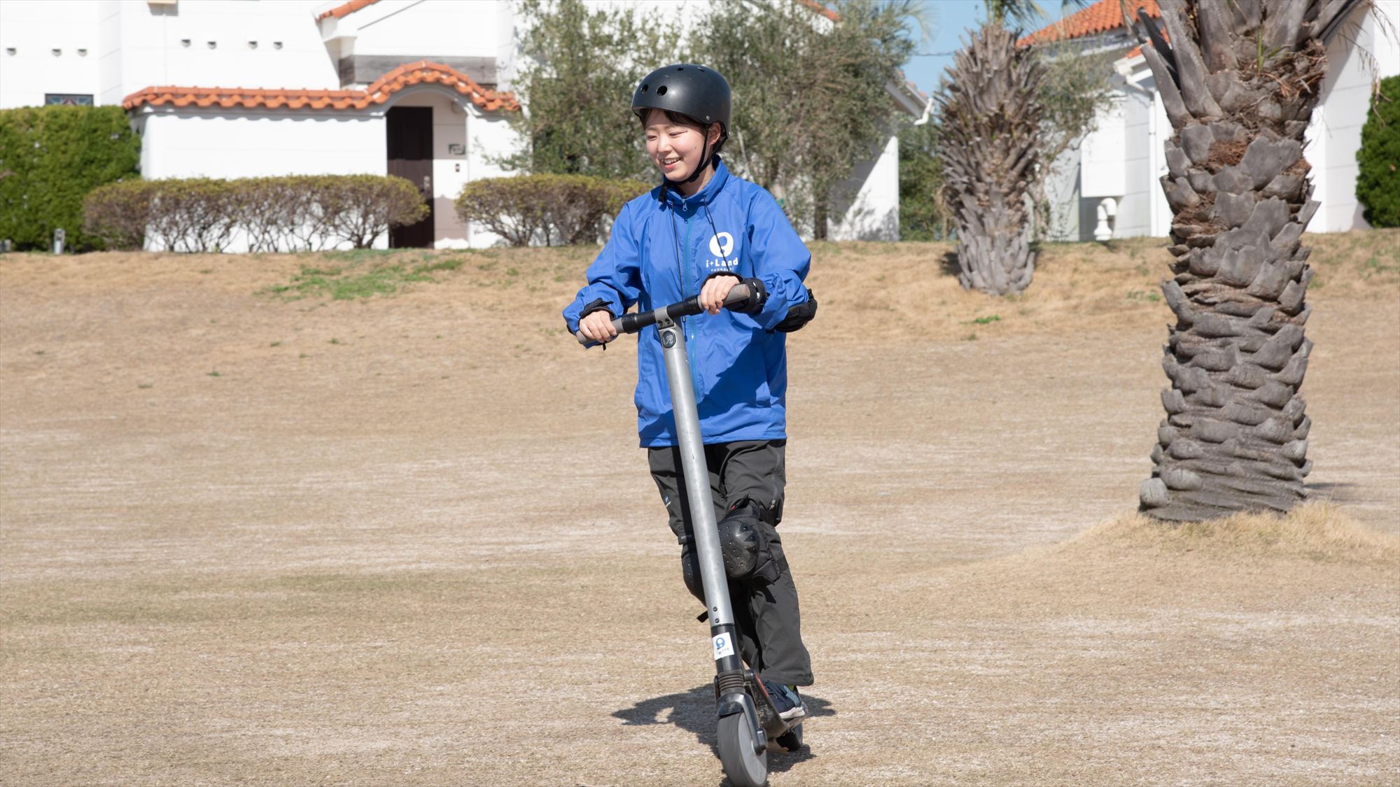 フィールドアクティビティ