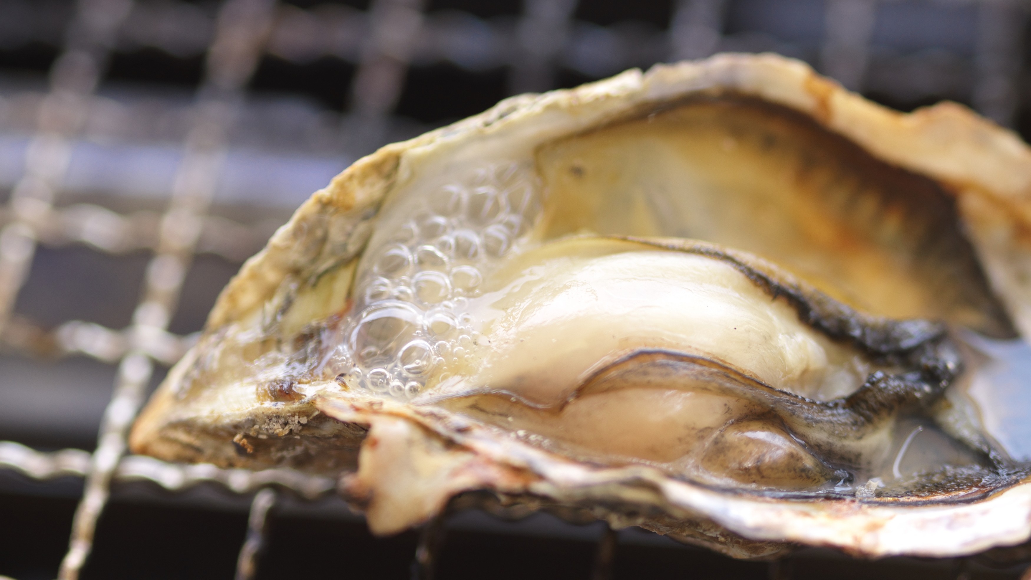 牡蠣焼き魚市イメージ