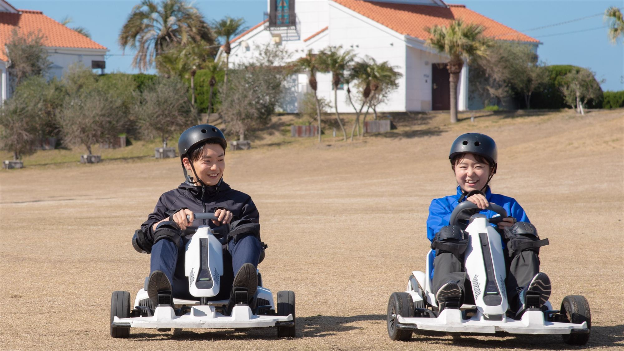 フィールドアクティビティ