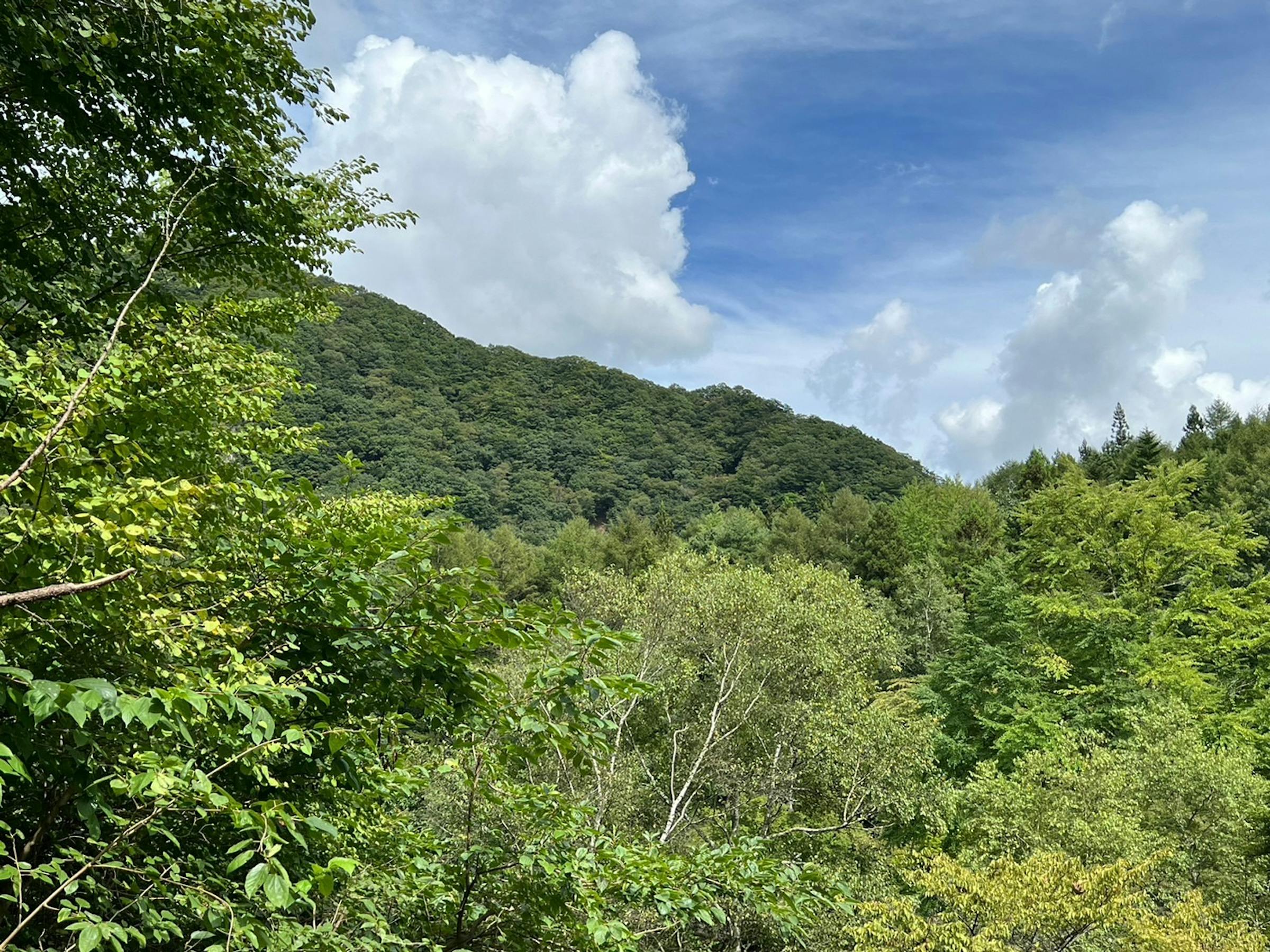 自然あふれる別荘地にあります