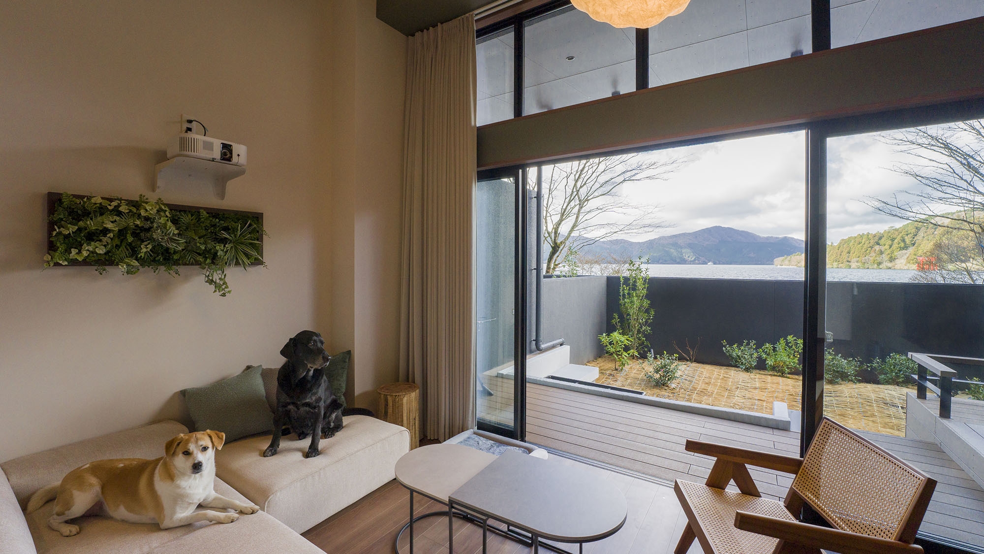 【ドッグフレンドリー】2ダブルベッド+ロフト