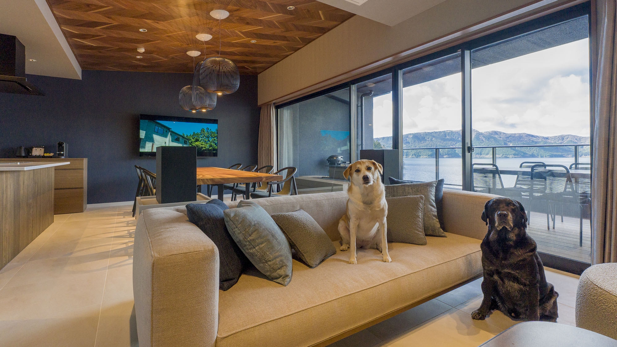 【ドッグフレンドリー】スイート(501)