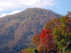 【紅葉】★お一人様ＯＫ★農村の原風景が残る♪秋色の里山散策♪／楽天ポイント付与