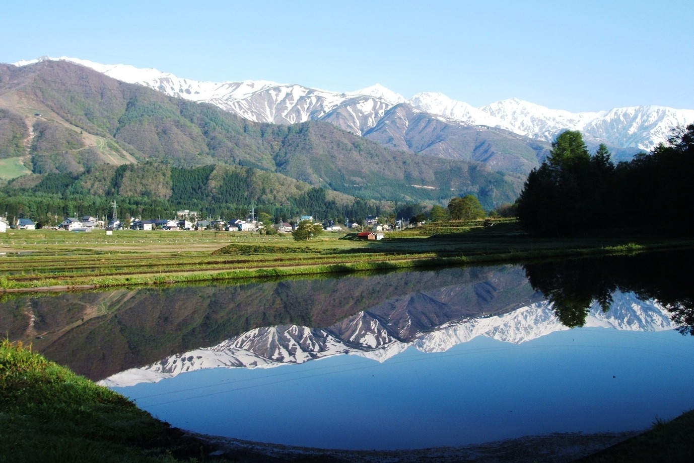 素泊まりプラン★マクロビ、ヴィーガン料理の予約可★1泊〜