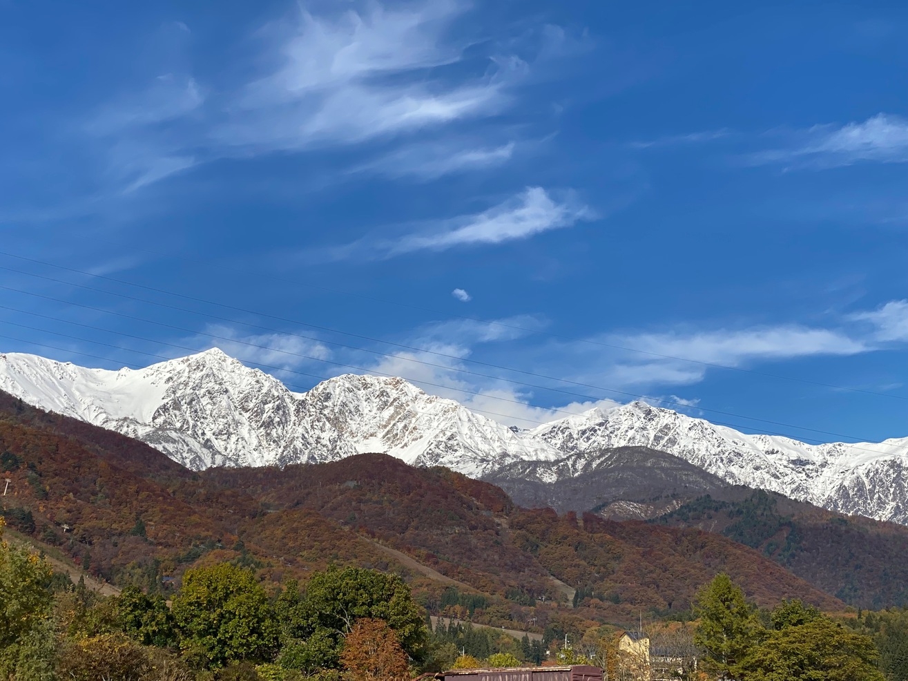 素泊まりプラン★マクロビ、ヴィーガン料理の予約可★1泊〜
