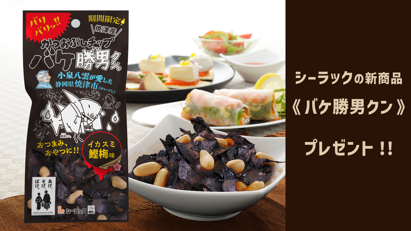 【期間限定】焼津めぐりプラン（お土産・マップ付）　★朝食・VOD無料★無料駐車場（先着順）