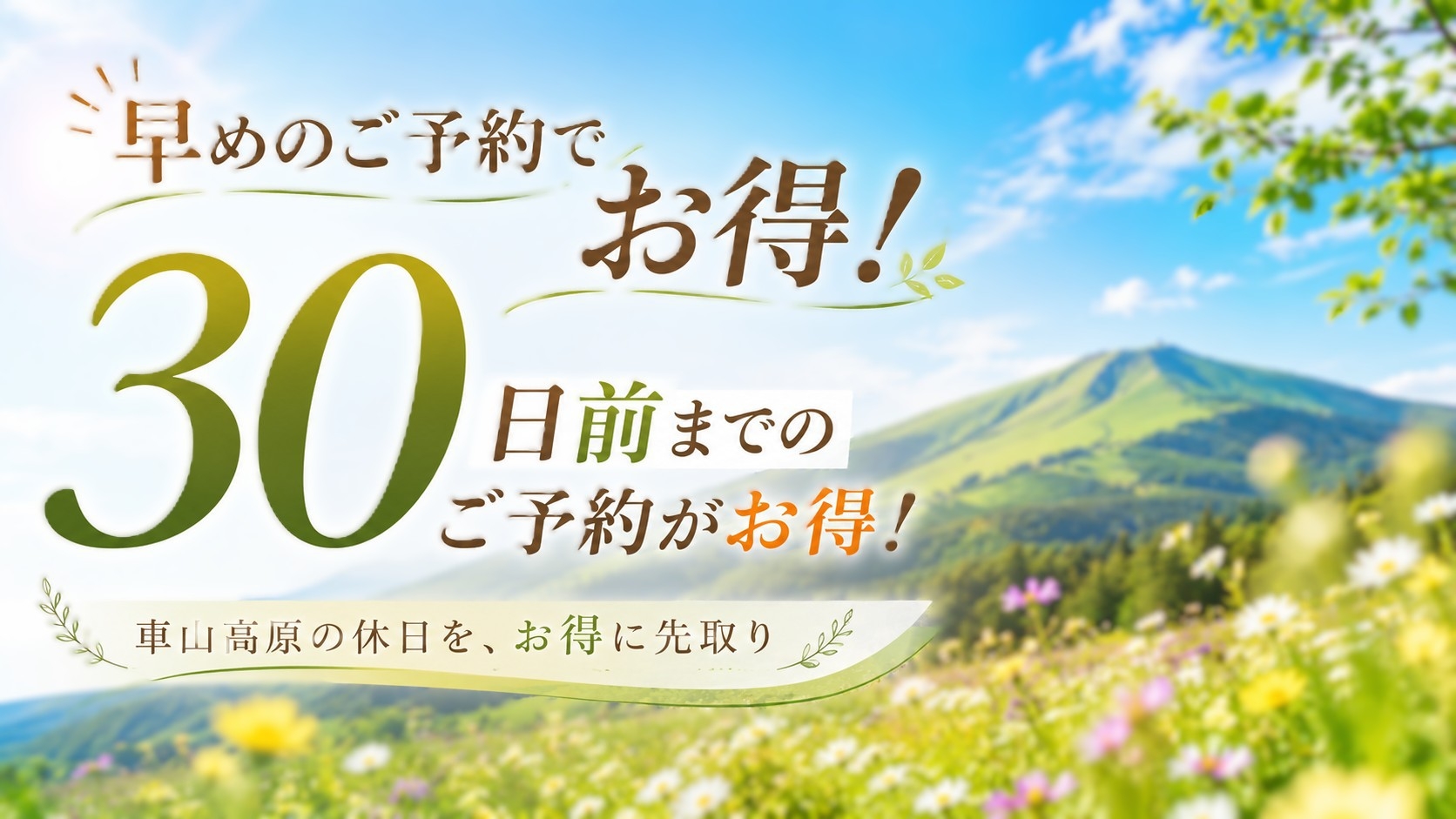 【早割30】【スタンダード】信州和牛ステーキメインの和洋折衷ディナー【1泊2食】