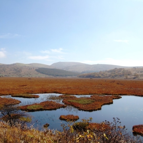 秋の八島湿原