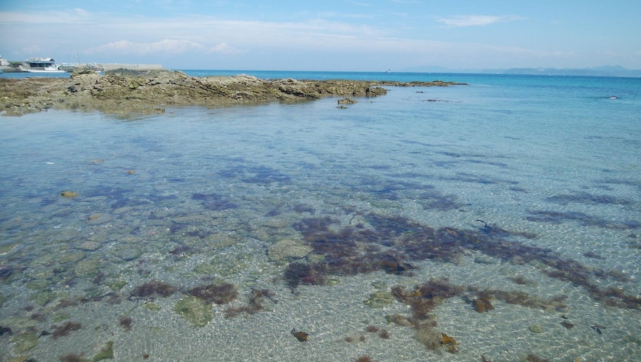 近隣の海！透明度抜群！！