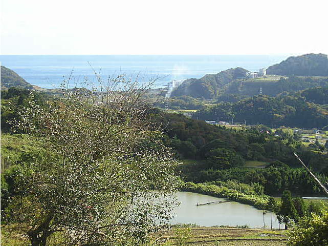 【大人デイ】≪素泊り≫コーヒー・紅茶をご自由にどうぞ。自分のペースで自分流の旅を♪