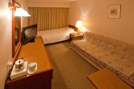 Single duvet room with sofa