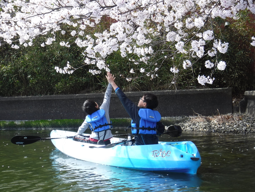 【お花見カヤック】水月湖から眺める山桜＆若葉の里山 カヤック２時間コース「翌日午前の部」