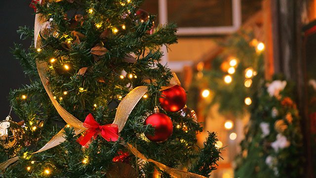 クリスマスツリー