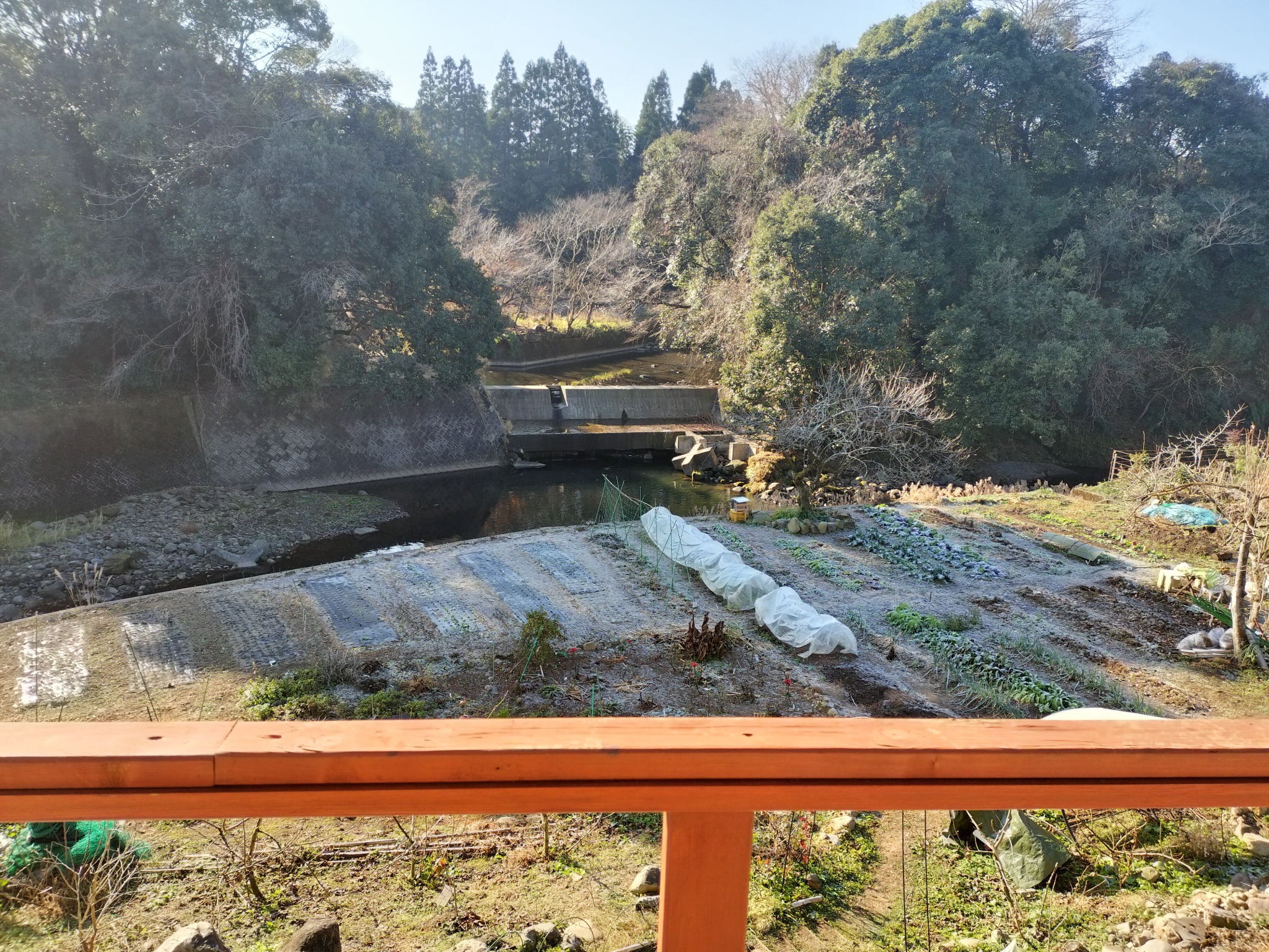 テラスから見える風景