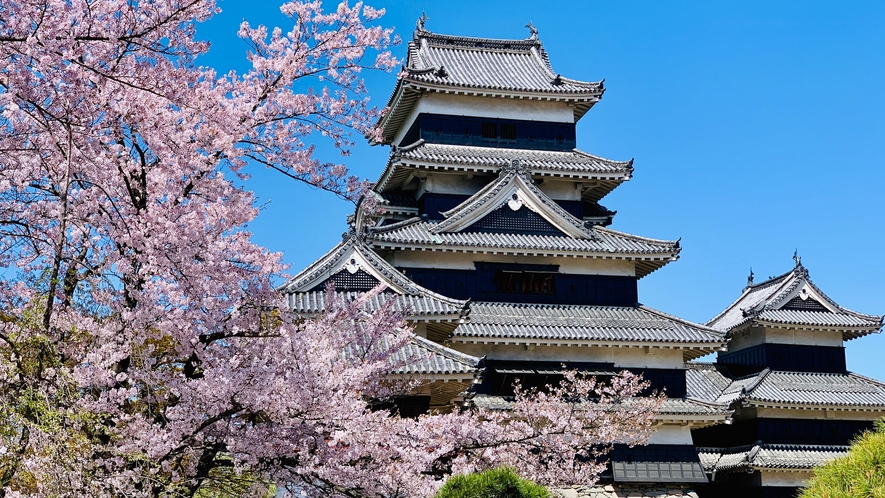 春の松本城