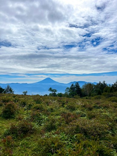 甘利山頂上まで車で30分