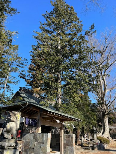 HIKE裏にある勝手神社