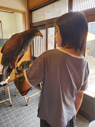 カフェでのふれあい体験