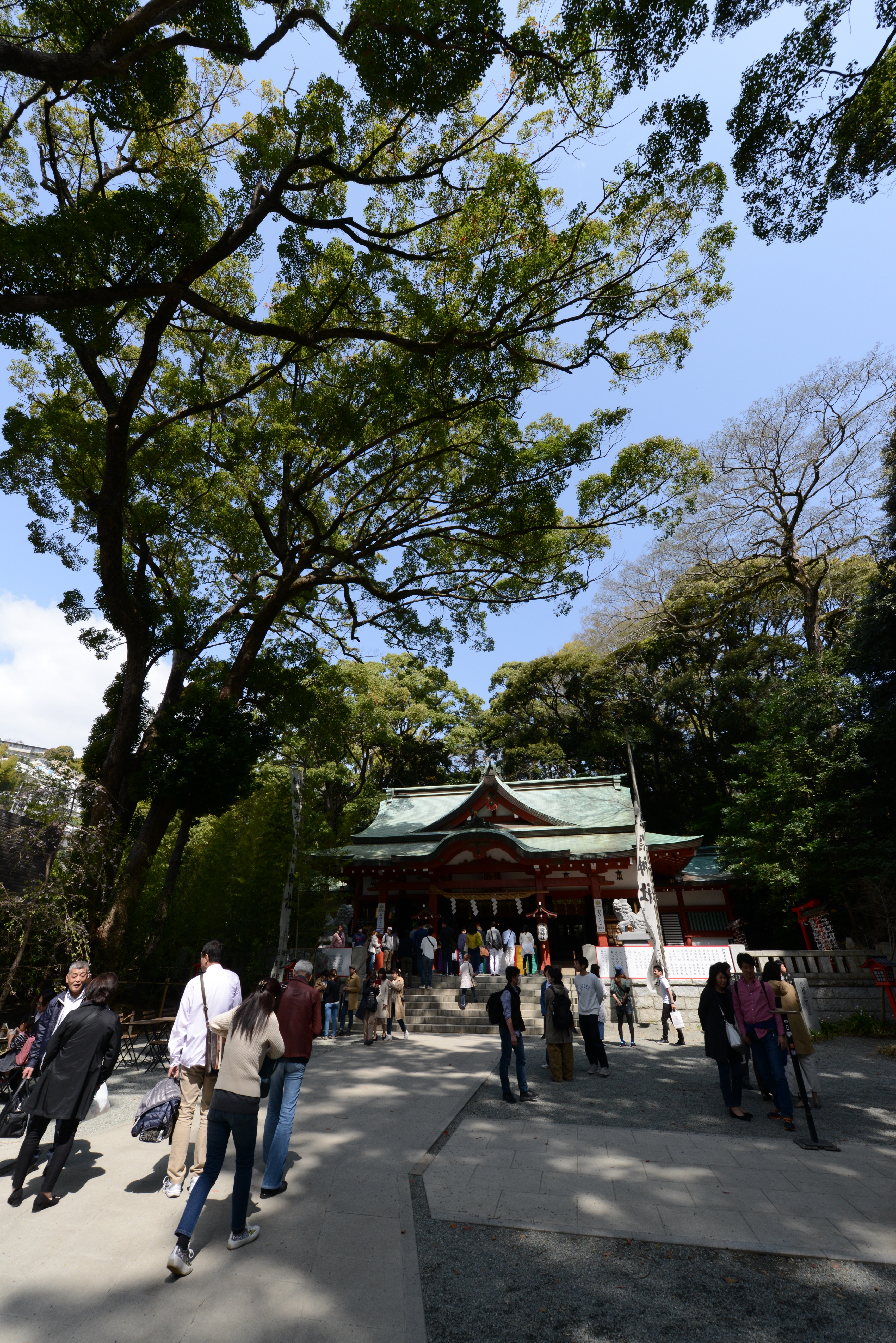 来宮神社