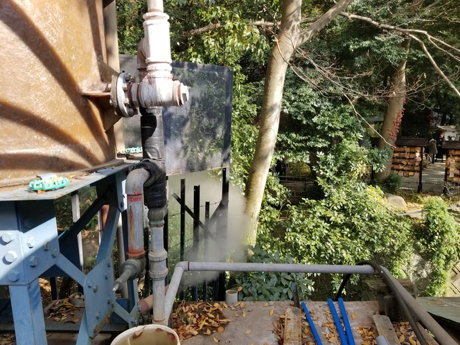 源泉　楠湯から来宮神社大楠